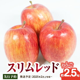 【ふるさと納税】《先行予約》スリムレッドりんご 約2.5kg【2025年2月上旬頃～発送予定】【大江町産・山形りんご・りんご専科 清野哲生】