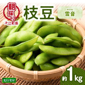 【ふるさと納税】《先行受付》枝豆（雪音）約1kg【2026年8月末より順次発送予定】 山形県 大江町 枝豆 豆 まめ 大粒 雪音 ゆきね 朝採り おつまみ