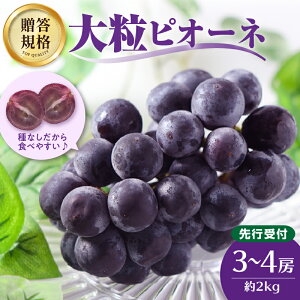 yӂ邳Ɣ[Łz ssttKi 嗱sI[l 3`4[ 2kgy2025N9{`\zy]YEѕz Ȃ R`Ԃǂ ]Y ѕ Ԃǂ uhE  ʕ