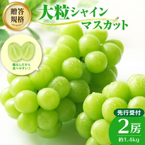 yӂ邳Ɣ[Łz sstt VC}XJbg 1.4kgi2[j Ȃ R` Ԃǂ ]Y ѕ uhE  ʕ t[c Yn v[g Ki y2025N9{`