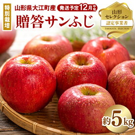 【ふるさと納税】《先行予約》特別栽培 贈答規格サンふじ約5kg 【2024年12月中旬頃～発送予定】【糖度14度以上・山形セレクション認定品・山形りんご・鈴木果樹園】