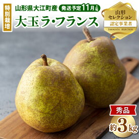【ふるさと納税】 《先行受付》特別栽培 大玉 ラフランス 約3kg・秀品4L〜3L 【2026年11月上旬頃〜発送予定】【糖度13度以上 ・山形セレクション認定品・大江町産・鈴木果樹園】ラフランス 洋梨 果物 フルーツ 産地直送