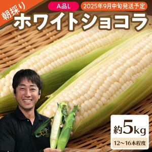 yӂ邳Ɣ[Łz sstt̂zCgVRIׂe 3kgA5kg y2025N9{`\zyR`Ƃ낱E]YEΔ_z Ƃ낱 gERV 