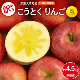 【ふるさと納税】《先行予約》訳ありこうとくりんご約4.5kg 【2024年11月中旬頃～発送予定】【大江町産・山形りんご・大地農産・11月・12月】