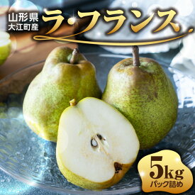 【ふるさと納税】≪先行受付≫ラフランス 5kg 14個〜20個【2026年11月上旬〜順次発送予定】 山形県 大江町 フルーツ 果物 西洋梨 デザート スイーツ 洋梨 ラ・フランス スイーツ 果物の女王 梨 ラフランス