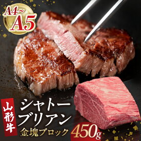 【ふるさと納税】 山形牛シャトーブリアン 金塊ブロック 450g【肉の小林】 シャトーブリアン お肉 ブロック肉 山形 大江町 肉 A4 A5 レビューキャンペーン