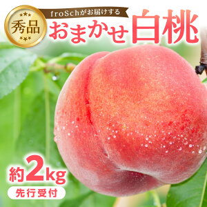 yӂ邳Ɣ[Łz st froSch͂邨܂ 2kg y2025N7{菇\z    t[c ʕ Yn R` ] R` ʎ {̃t[c r