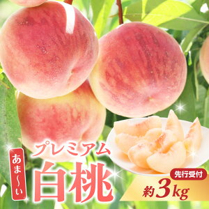 �y�ӂ邳�Ɣ[�Łz ���s��t�� �Á`�� �v���~�A������ ��3kg�y2026�N8�����{���`�����\��z