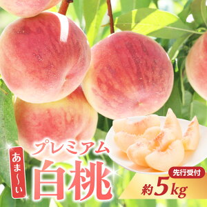 �y�ӂ邳�Ɣ[�Łz ���s��t�� �Á`�� �v���~�A������ ��5kg�y2026�N8�����{���`�����\��z