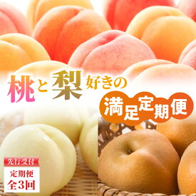 【ふるさと納税】 ≪先行受付≫【2026年度発送】 桃と梨好きの満足定期便【定期便全3回】 白桃 和梨 黄桃 フルーツ 果物 産地直送 定期便