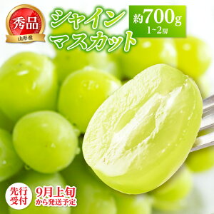 �y�ӂ邳�Ɣ[�Łz�s��s��t�t���R�`�Y�V���C���}�X�J�b�g����700g�ȏ�(1�`2�[)�G�i�y2026�N9�����`���������\��z �R�`�� ��]�� �V���C���}�X�J�b�g �Ԃǂ� ��Ȃ� �炲�ƐH�ׂ��� 700g��