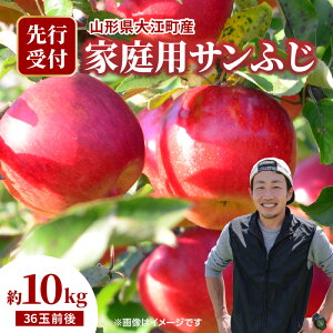 yӂ邳Ɣ[Łzsstt ]Y ƒpTӂ Iׂe i5kg`10kg 18ʁ`36ʑOjy2025N11{`\z R` ]Y Tӂ  ƒp Iׂe