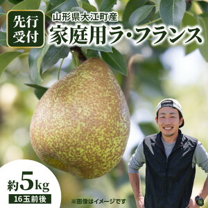 yӂ邳Ɣ[Łz]Y tXƒp 5kg 16ʑO tX R` ] Yn ƒp 󂠂 5kg 5L ʎ  m Â L VN t[c