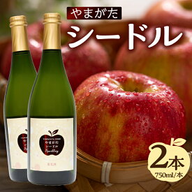 【ふるさと納税】 やまがたシードル750ml×2本 山形県 大江町 ワイン スパークリングワイン 食前酒 紅玉