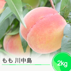 yӂ邳Ɣ[Łzys\z  쒆 2kg 2026NY ߘa8NY ʕ t[c ʎ  ja-moknx2