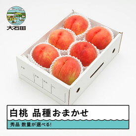 【ふるさと納税】 【先行予約】 もも 白桃 秀品 品種おまかせ 化粧箱入り 数量選べる 2kg 3kg 5kg 2026年産 送料無料 フルーツ 果物 大石田 ns-mohtx※沖縄・離島への配送不可