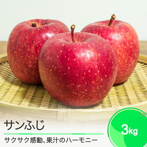 yӂ邳Ɣ[Łz Tӂ 3kg 2025NY ʕ t[c  Γc R` ja-risfx3