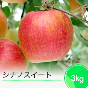 yӂ邳Ɣ[Łz VimXC[g 3kg G ߘa7NY 2025NY ʕ t[c ʎ 