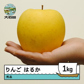 【ふるさと納税】 先行予約 りんご はるか 約1kg 令和8年産 2026年産 ry-rihax1000 ※沖縄・離島への配送不可