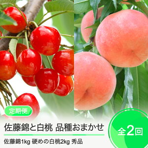 yӂ邳Ɣ[Łzys\z 2 1kg×2kg   i킨܂ Iׂ R`Y 2026NY ߘa8NY t[c ʎ ry-ft2shx