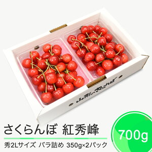 yӂ邳Ɣ[Łz gG G2L 700gi350g×2pbNj2026NY ߘa8NY R`Y ӂ邳Ɣ[ ʕ  t[c Ԍ ①z st O  n Y Y