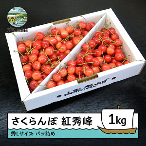 yӂ邳Ɣ[Łz gG GL 1000giol1kgj2026NY ߘa8NY R`Y ӂ邳Ɣ[ ʕ  t[c Ԍ ①z st O  n Y Yn