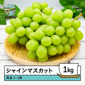 【ふるさと納税】ぶどう シャインマスカット 約1kg 2~3房 山形県産 2026年産 令和8年産 フルーツ 果実 ※沖縄・離島への配送不可 ry-busmx1000