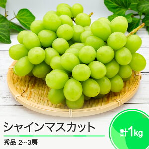 yӂ邳Ɣ[Łzs\ VC}XJbg 킹1kg 2~3[ R`Y 2025NxY ߘa7N t[c ʎ  ry-busmx1000