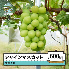 【ふるさと納税】【先行予約】 シャインマスカット 約600g 1房 令和8年産 2026年産 ぶどう ry-busmx600 ※沖縄・離島への配送不可