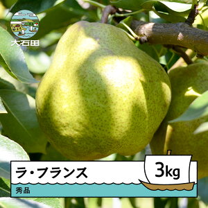 yӂ邳Ɣ[Łz m EtX 3kg ߘa7NY 2025NY ry-laxxx3000 Eւ̔zs