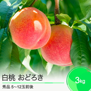 yӂ邳Ɣ[Łzs\    ǂ낫 3kg R`Y 2026NY ߘa8NY t[c ʎ  ry-moodx3000