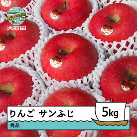 【ふるさと納税】 りんご サンふじ 約5kg 令和7年産 2025年産 ry-risfx5000 ※沖縄・離島への配送不可