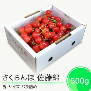 yӂ邳Ɣ[Łz  GL 500g 2026NY ߘa8NY R`Y ӂ邳Ɣ[ ʕ  t[c Ԍ ①z st O  n Y Yn   