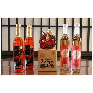 スイカ お酒の人気商品 通販 価格比較 価格 Com