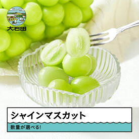 【ふるさと納税】 【先行予約】 ぶどう シャインマスカット 秀品 容量選べる！ 令和8年産 2026年産 送料無料 フルーツ 果物 大石田 ns-busmx ※沖縄・離島への配送不可