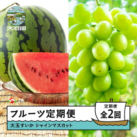 【ふるさと納税】【先行予約】フルーツ定期便 全2回 大玉すいか シャインマスカット 2026年産 令和8年産 ja-ft2ss ※沖縄・離島への配送不可