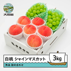 【ふるさと納税】 【先行予約】もも 白桃 秀品 & シャインマスカット 品種おまかせ 詰め合わせ 約3kg 2026年産 令和8年産 送料無料 フルーツ 果物 大石田 ns-fshsx3※沖縄・離島への配送不可