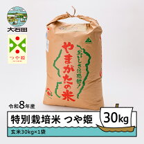 楽天市場】つや姫 30kgの通販