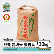 楽天市場】新米 30kg 予約 玄米の通販