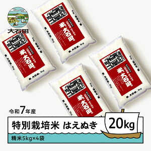 yӂ邳Ɣ[Łz V  ߘa7NY ͂ʂ 20kg ΓcY ʍ͔|   Γc
