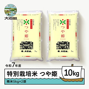 yӂ邳Ɣ[Łz V  ߘa7NY P 10kg ΓcY ʍ͔|   Γc