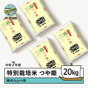 yӂ邳Ɣ[Łz V  ߘa7NY P 20kg ΓcY ʍ͔|   Γc