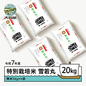 yӂ邳Ɣ[Łz V  ߘa7NY  20kg ΓcY ʍ͔|   Γc