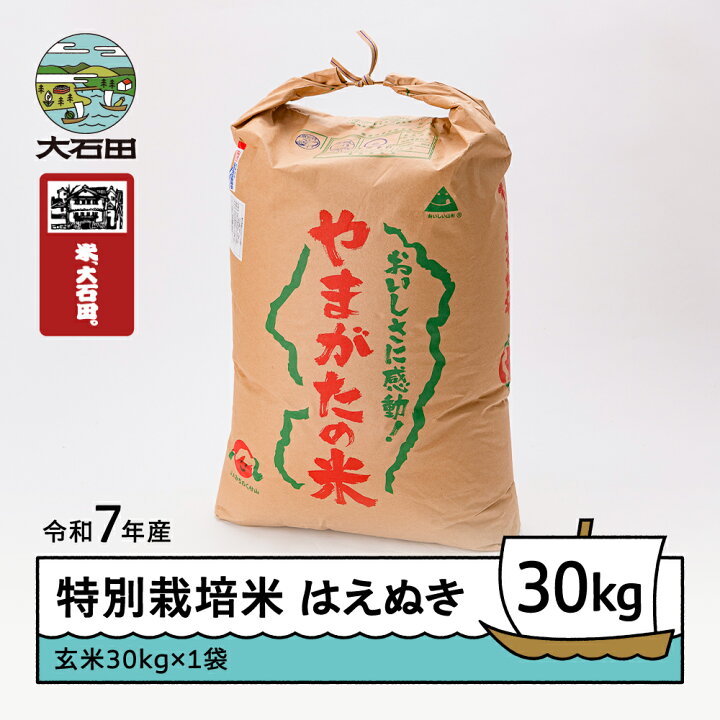 楽天市場】【ふるさと納税】 米 令和7年産 はえぬき 30kg 大石田町産 