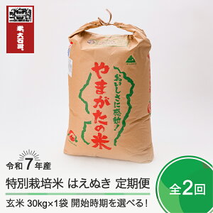 yӂ邳Ɣ[Łz V  2 ͂ʂ  ߘa7NY 30kg×2 ΓcY ʍ͔|  ΓcEւ̔zs ja-hagxa30x2-tkk