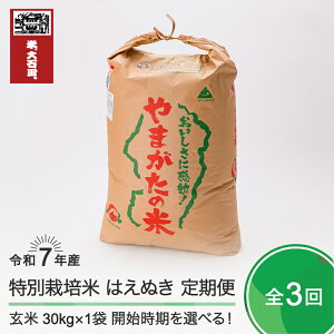 yӂ邳Ɣ[Łz V  3 ͂ʂ  ߘa7NY 30kg×3 ΓcY ʍ͔|  ΓcEւ̔zs ja-hagxa30x3-tkk
