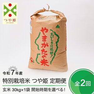yӂ邳Ɣ[Łz V  2 P  ߘa7NY 30kg×2 ΓcY ʍ͔|  ΓcEւ̔zs ja-tsgxa30x2-tkk