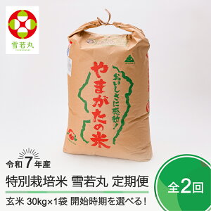 yӂ邳Ɣ[Łz V  2   ߘa7NY 30kg×2 ΓcY ʍ͔|  ΓcEւ̔zs ja-yugxa30x2-tkk