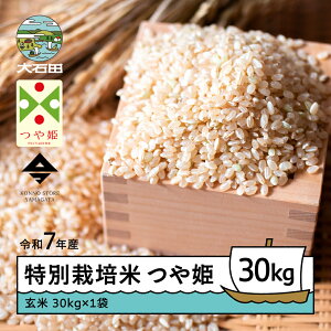 yӂ邳Ɣ[Łz V  ߘa7NY P 30kg ΓcY ʍ͔|  Eւ̔zs Γc ks-tsgxa30