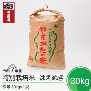 yӂ邳Ɣ[Łz V  ߘa7NY ͂ʂ 30kg ΓcY ʍ͔|   ΓcEւ̔zs ja-hagxa30